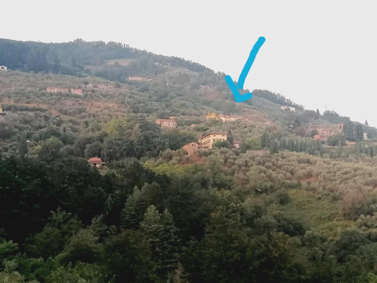 Casa Teresina Villa Collodi Kültér fotó