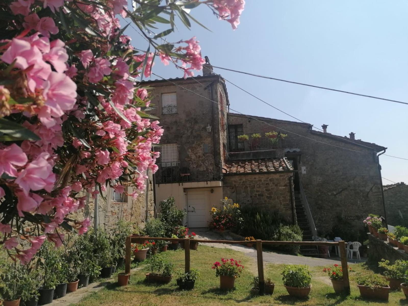 Casa Teresina Villa Collodi Kültér fotó